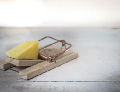 Les 10 pièges et erreurs à éviter lors de la soumission de votre dossier de Naturalisation